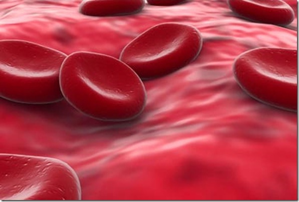 red-blood-cells